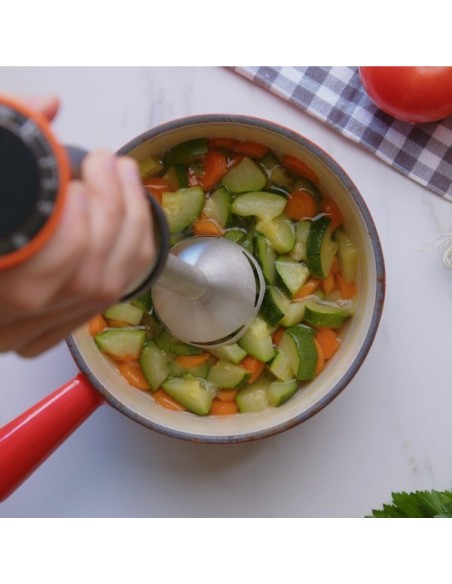 BATIDORA VARILLA TAURUS BAPI 1200W ROCKET