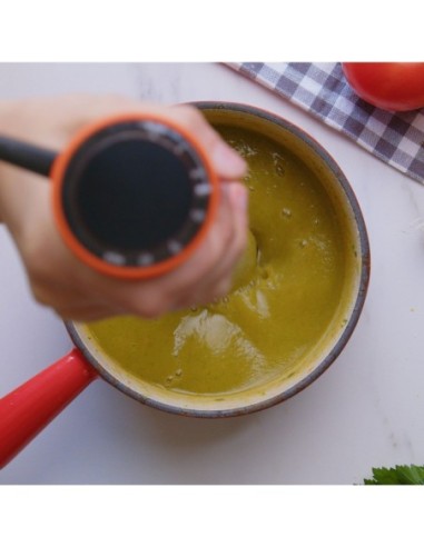 BATIDORA VARILLA TAURUS BAPI 1200W...