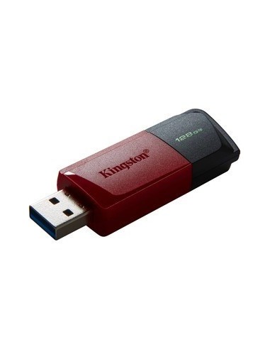 PEN DRIVE 128GB KINGSTON USB3.2 D.T...