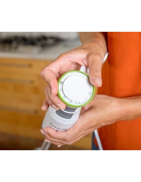 BATIDORA VARILLA TAURUS BAPI 850 INOX