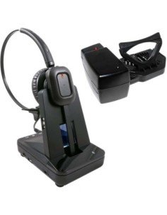 AURICULARICULAR FREEMATE...