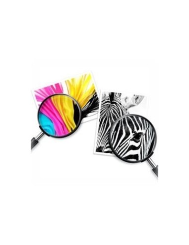 CARTUCHO HP 303 PACK 2 NEGRO-COLOR