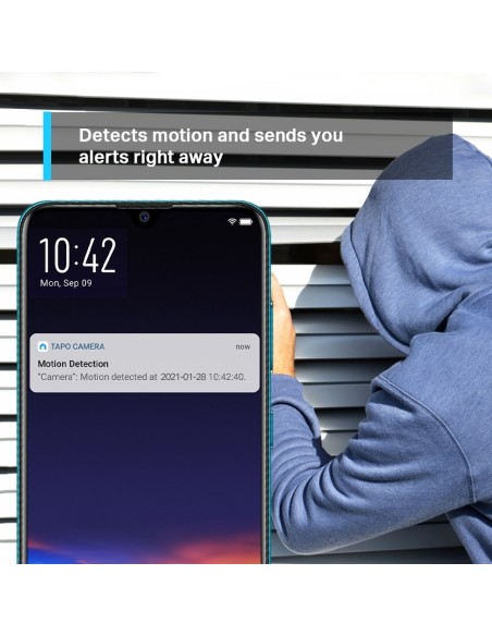CAMARA IP WIFI TP-LINK TAPO C210 PTZ