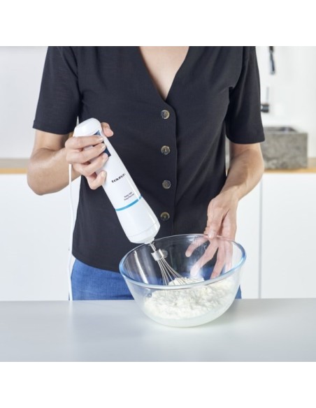 BATIDORA VARILLA TAURUS ROBOT 600 PLUS INOX