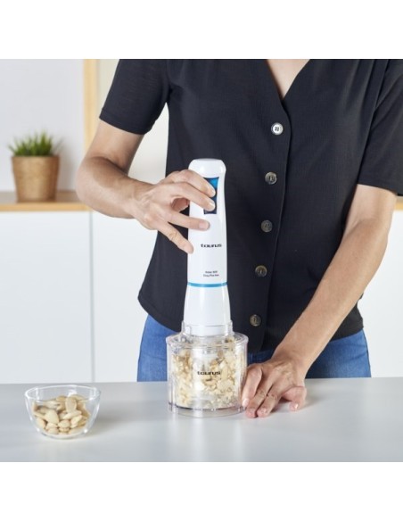 BATIDORA VARILLA TAURUS ROBOT 600 PLUS INOX