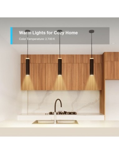 BOMBILLA TP-LINK TAPO L610E 2700K