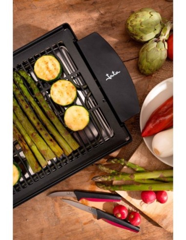 BARBACOA ELECTRICA JATA EBQ2 2000W