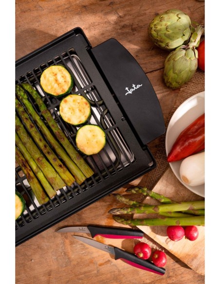 BARBACOA ELECTRICA JATA EBQ2 2000W