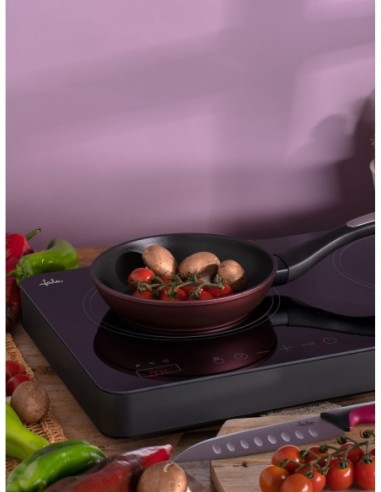 COCINA ELECTRICA JATA INDUCCION...