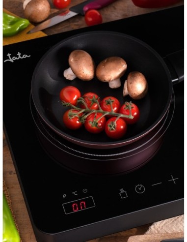 COCINA ELECTRICA JATA INDUCCION...
