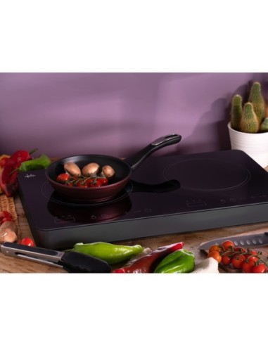 COCINA ELECTRICA JATA INDUCCION...