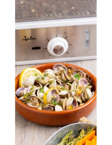 COCINA AL VAPOR JATA CV623 6.8L 800W