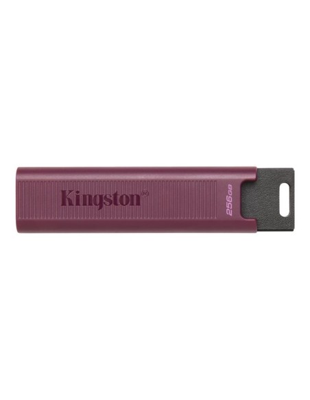 PEN DRIVE 1TB KINGSTON USB3.2 GEN 2 TYPE A DT MAX